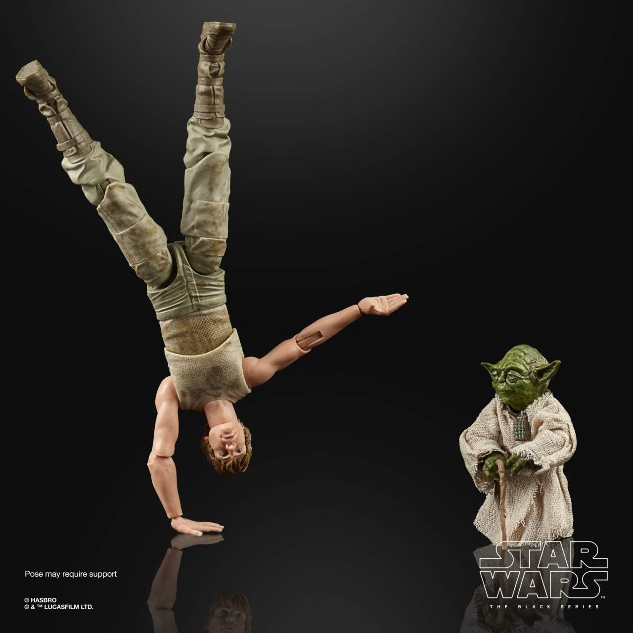 Star Wars Black Series Luke Skywalker & Yoda Jedi Training |Moon