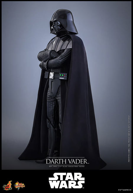 Darth Vader figure from Star Wars with Hot Toys logo on a gray background